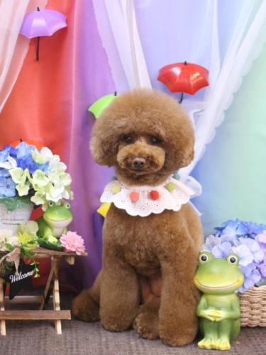 230625ろこちゃん